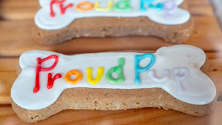 Furloughed chef pivots to scrumptious dog treats, dogs rejoice